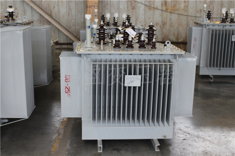 怒江S20-800kVA/10kV/0.4kV变压器